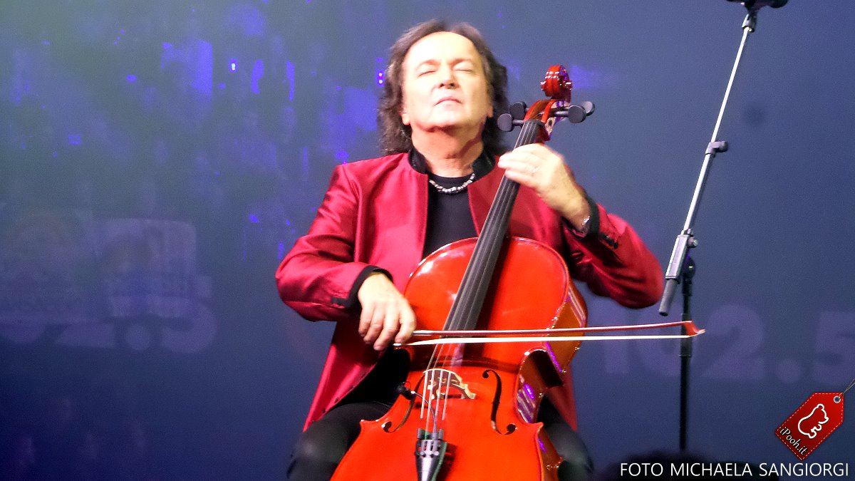 Red al violoncello
